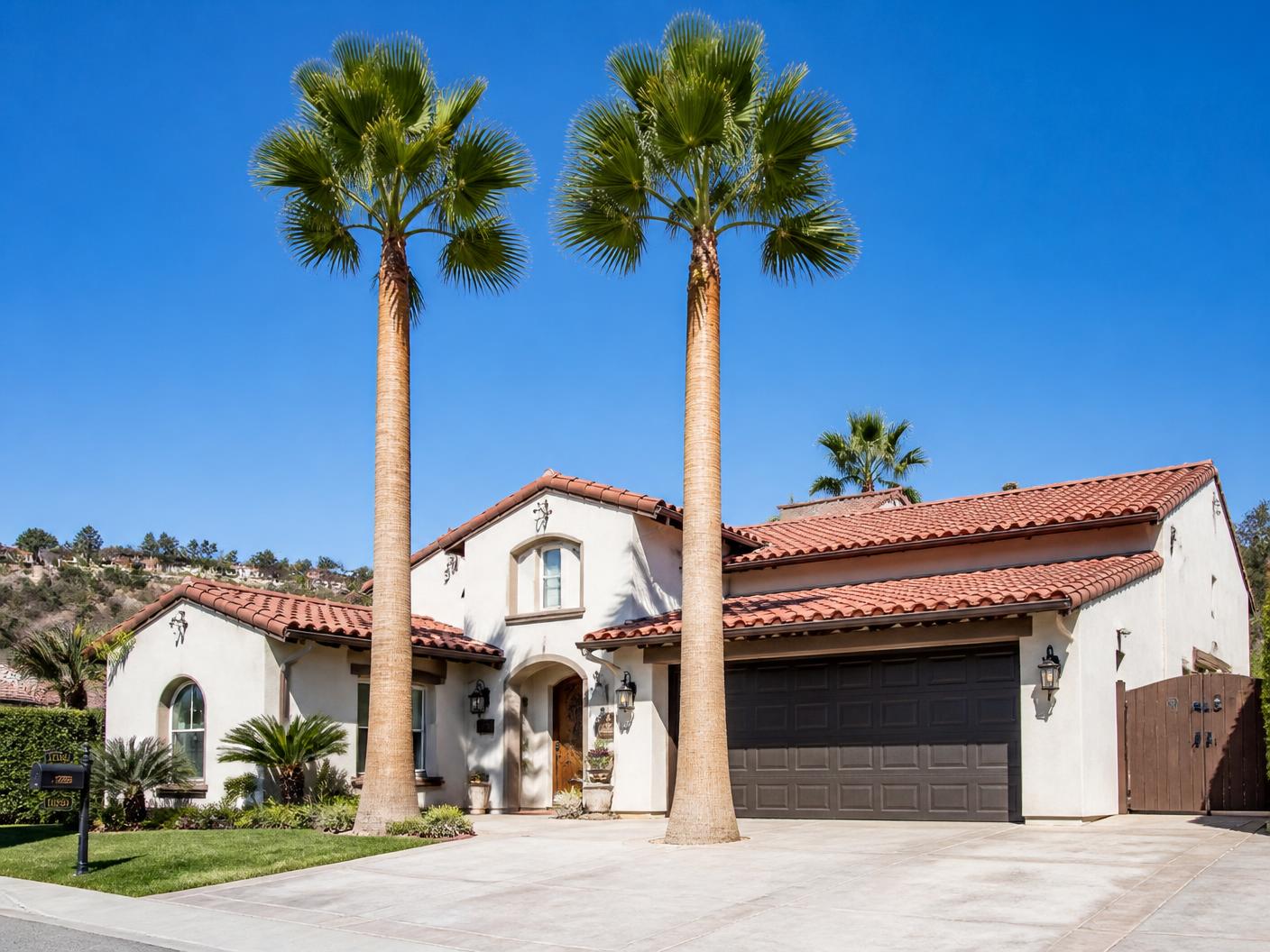 The same two Mexican fan palms trimmed and cleaned at an Escondido home